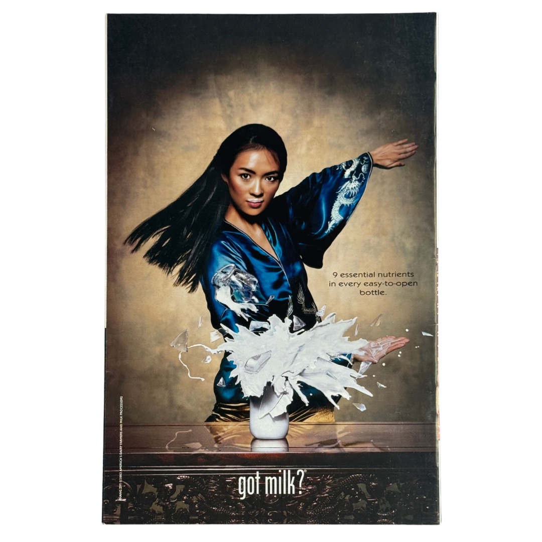 Spider-Man and the Black Cat: The Evil That Men Do #2 – VF/NM – 2002 (Marvel)