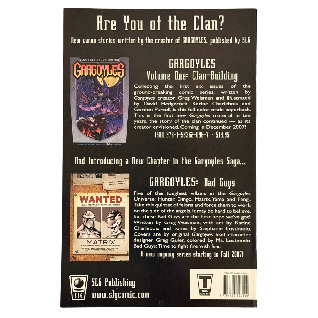 Gargoyles #6 – FN/VF – 2007 (Amaze Ink/SLG)