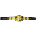 Bret Hart Signed “SummerSlam ’91” – Authentic WWF Intercontinental Championship Belt – JSA COA – Wrestling Memorabilia