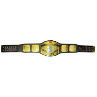 Bret Hart Signed “SummerSlam ’91” – Authentic WWF Intercontinental Championship Belt – JSA COA – Wrestling Memorabilia