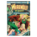 Werewolf by Night (1972 1st Series) #14 – VG/FN (4.0-5.0) – "Lo, The Monster Strikes!" – (1974 Marvel Comics) – Horror Classic!