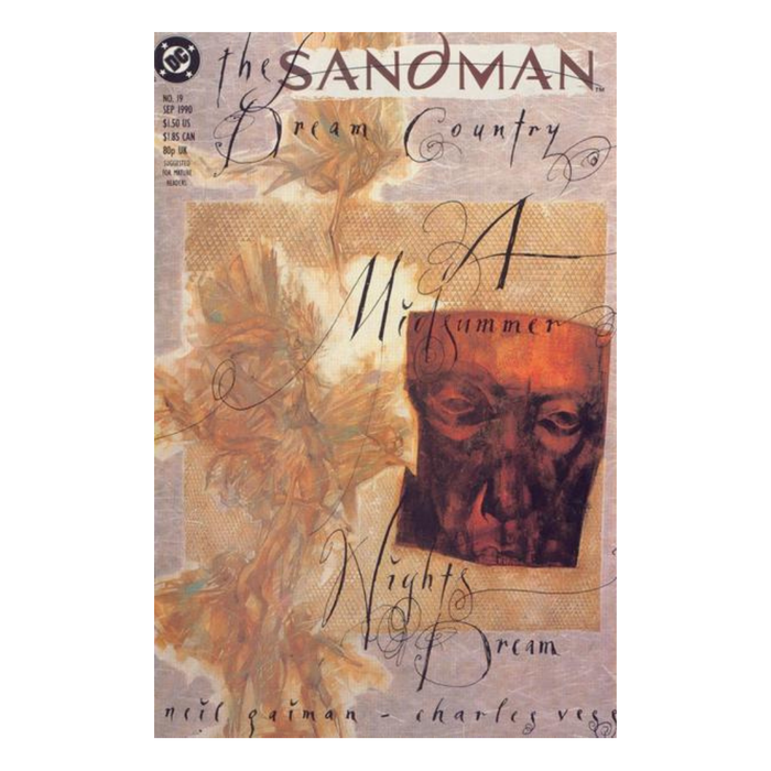 Sandman #19 – NM – 1990 (DC/Vertigo)