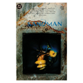 Sandman #24 – NM – 1991 (DC/Vertigo)